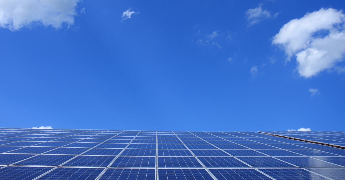 Tips for Cleaning and Maintaining Solar Panels